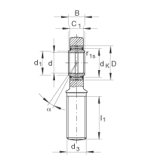 桿端軸承 GAR25-DO, 根據(jù) DIN ISO 12 240-4 標準，帶右旋外螺紋，需維護